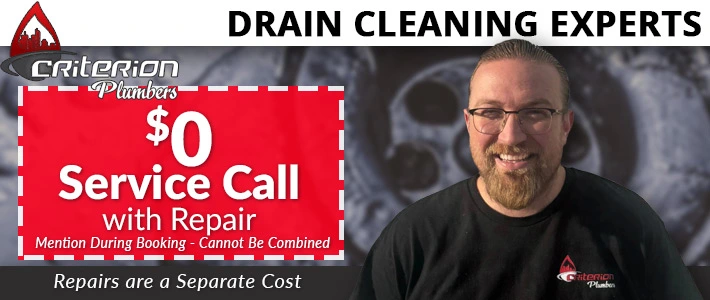 idaho Drain Clearing Criterion Plumbing