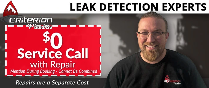 idaho Leak Detection Criterion Plumbing