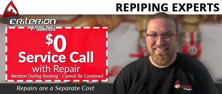 idaho Repiping Criterion Plumbing